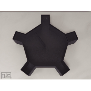 forced_2_choice_water_maze_01__00012