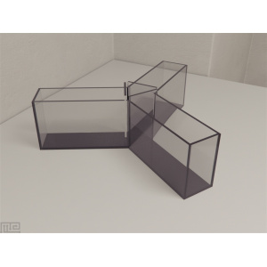 zebrafish_y_maze_01__00015
