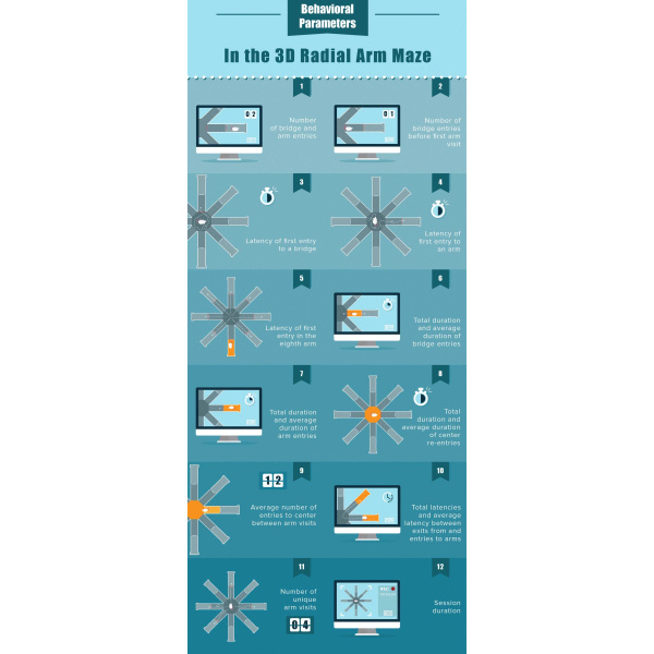 3d-radial-arm-maze-data2