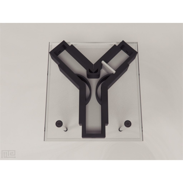 ant_y_maze_01__00004_1506003345