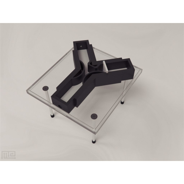 ant_y_maze_01__00005