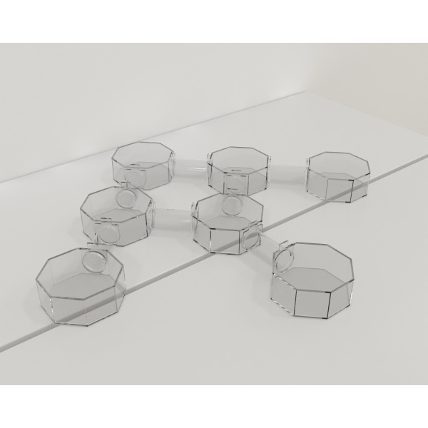 bat_octagonal_box-maze_01_1