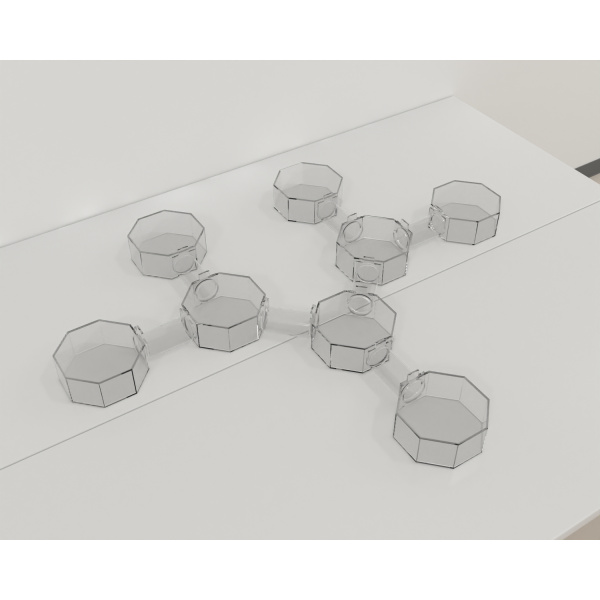 bat_octagonal_box-maze_02_1