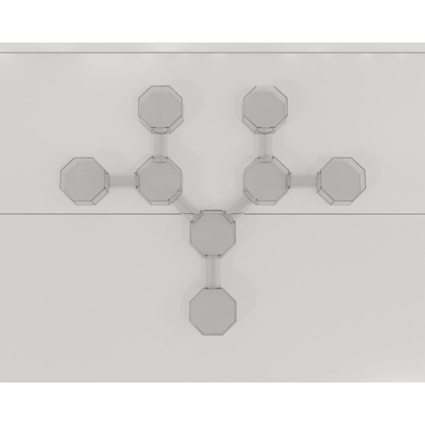 bat_octagonal_box-maze_02_2