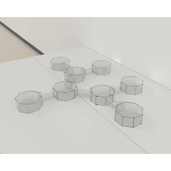 bat_octagonal_box-maze_02_3