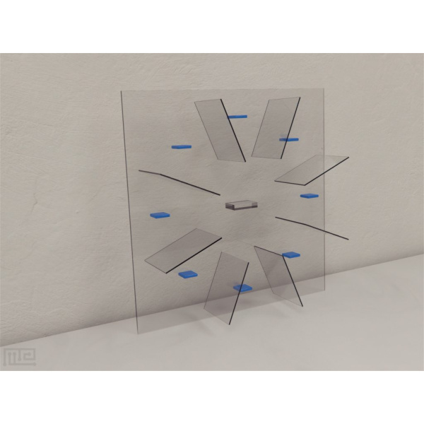 bee_radial_arm_maze_02__00000