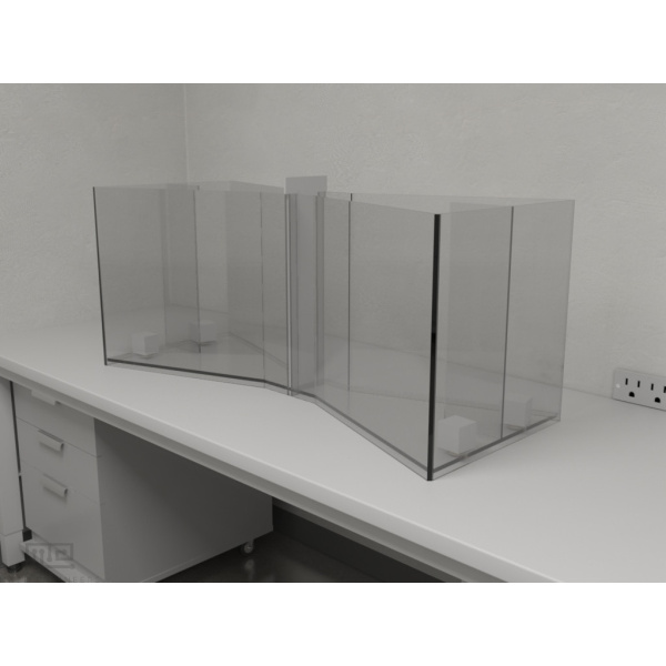 bowtie_maze_type2_rat_01_1