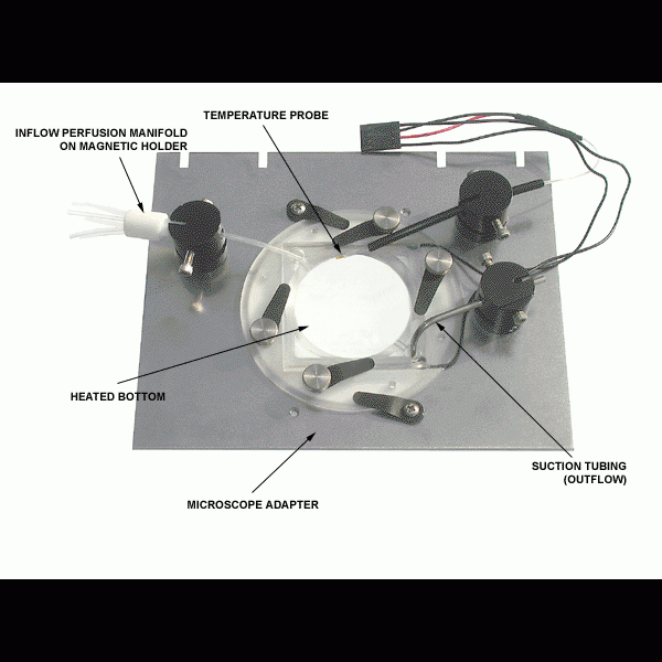 chamber-water-immersion
