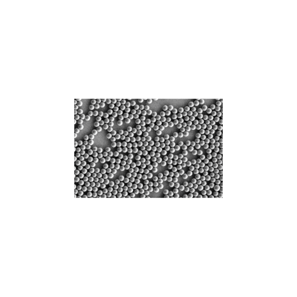 csm_counting_beads_f8711b3df2_1140175649