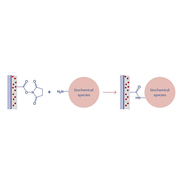 csm_s_12_3d-nhs_65754aa22b
