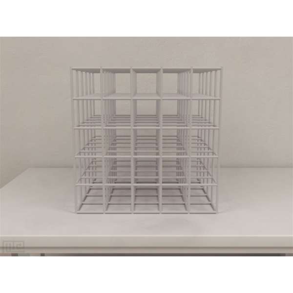 cubic_maze_rat_01__00011