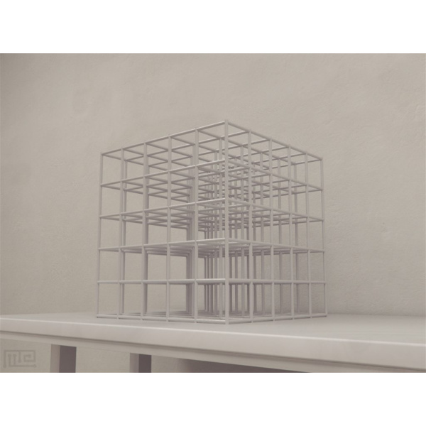 cubic_maze_rat_01__00012