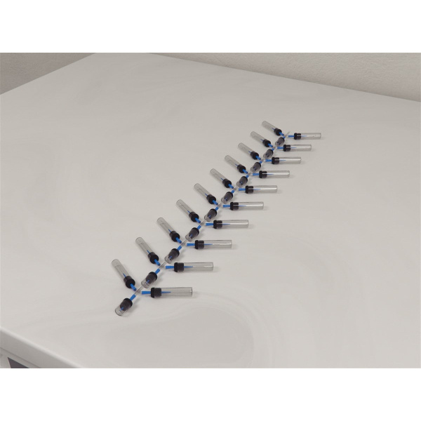 drosophilia_y_array_01__00026