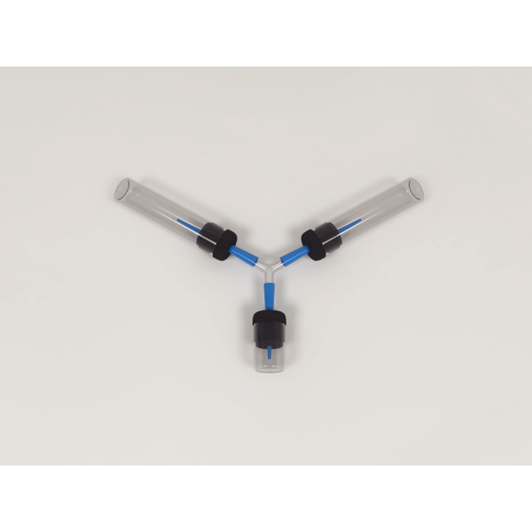 drosophilia_y_mod_01