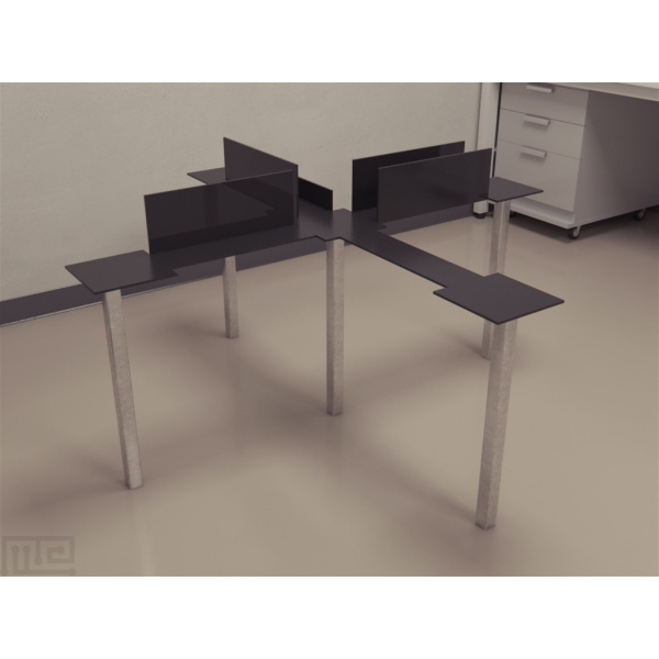 elevated_assymetric_plus_maze_01__00005