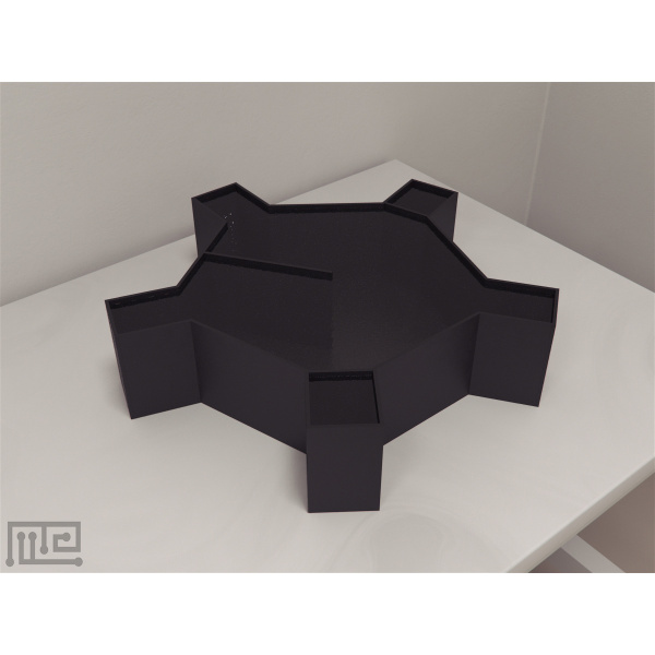 forced_2_choice_water_maze_01__00011