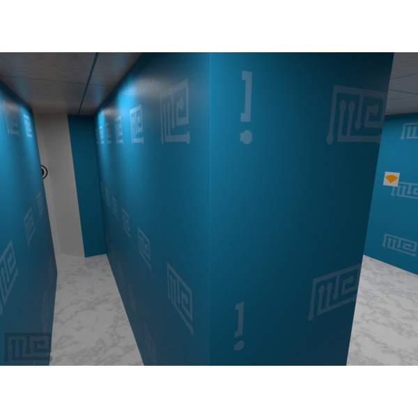 hebb-williams_vr_01_4