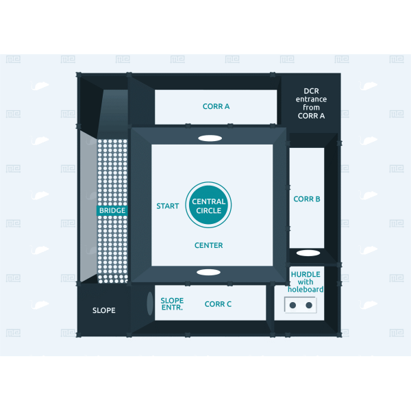 multivariante_concentric_square_field_figure1
