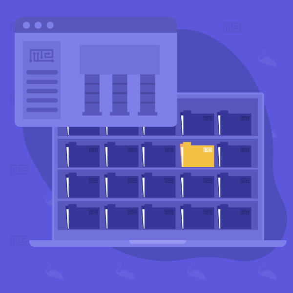 pig-spatial-maze-task