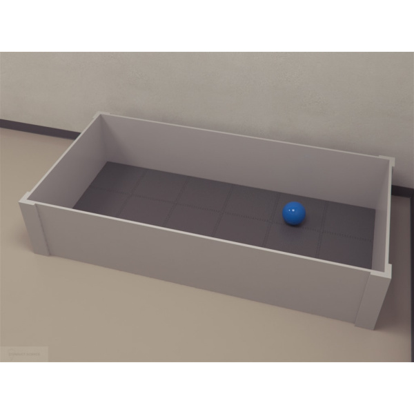 pig_openfield_01__00026