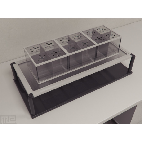 plantar_tingling_01__00018