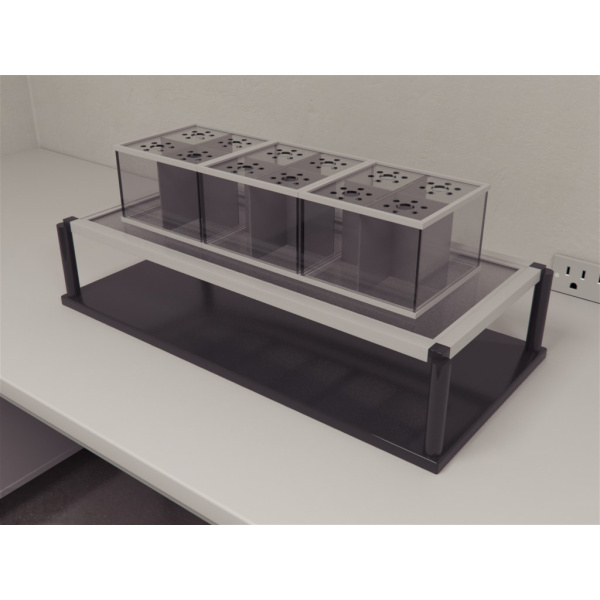 plantar_tingling_01__00019