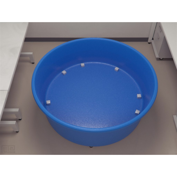 rats_round_arena_02__00001