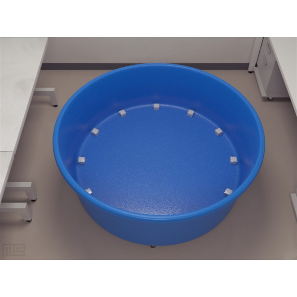 rats_round_arena_02__00003