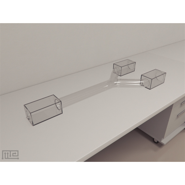 snake_y-maze_01__00012