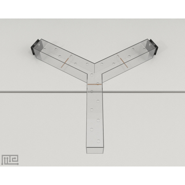 songbird_y-maze_01_2