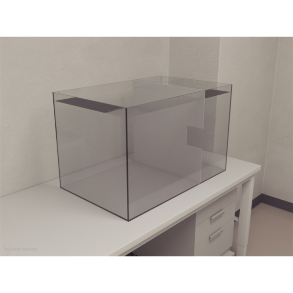 zebrafish_environmental_enrichment