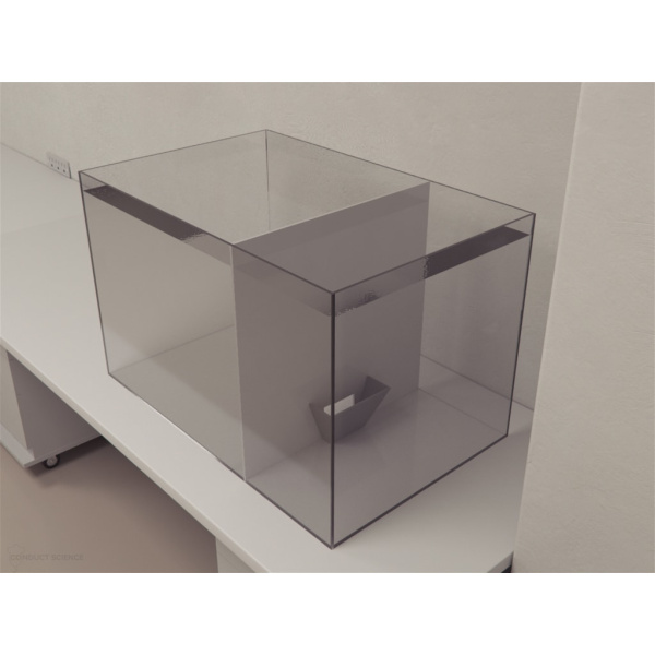 zebrafish_environmental_enrichment6