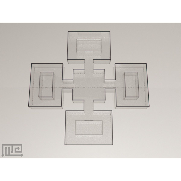 zebrafish_plus_maze_01__00010