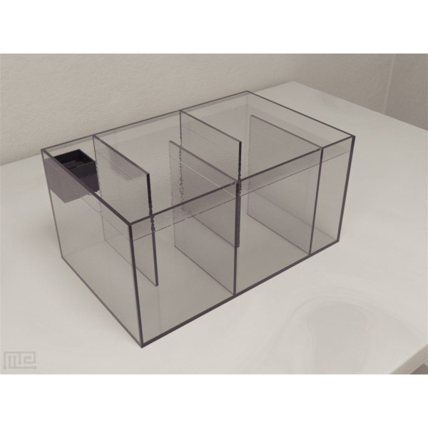 zebrafish_sociability_tank_01__00013