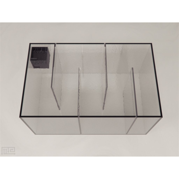 zebrafish_sociability_tank_01__00014