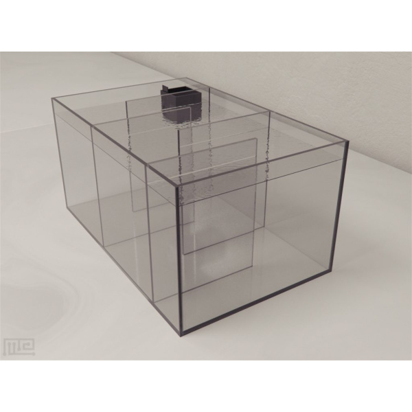 zebrafish_sociability_tank_01__00015